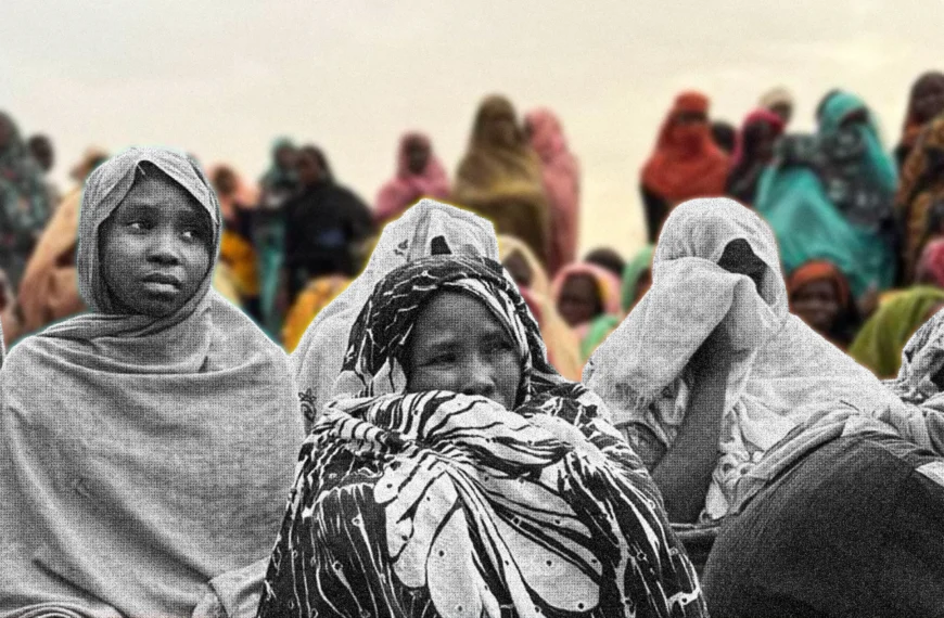 صرخات لم يسمعها أحد في السودان